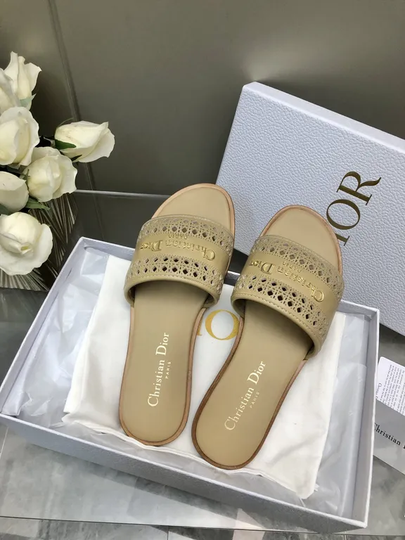 Dior Shoe 